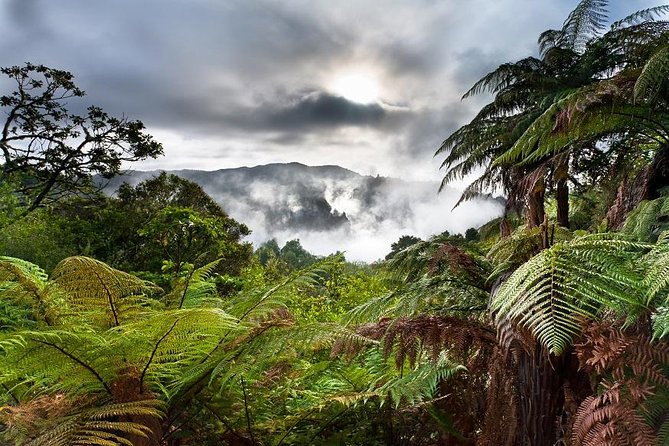 Rotorua Eco Cultural Full Day Tour (Wai O Tapu, Waimangu,Te Puia) - Pickup Information