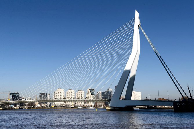 Rotterdam Grand South Holland Private Tour - VIP Service Inclusions