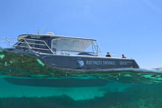 Rottnest Island Guided Snorkel Boat Experience - Experience Overview