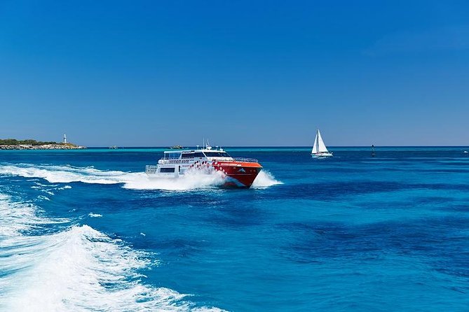 Rottnest Island Round-Trip Ferry From Perth - Booking Information