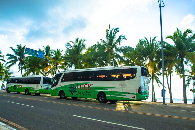 Round Trip Transfer Between Airport and Hotels in Maceió - Traveler Ratings and Reviews