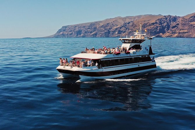 Royal Delfin - 45H Dolphin & Whale Watching - Los Gigantes Masca - Lunch & Swim - Booking Details