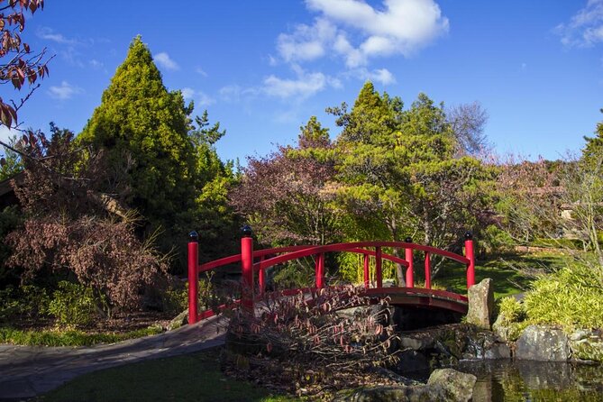 Royal Tasmanian Botanical Gardens Walking Tour - Meeting and Logistics