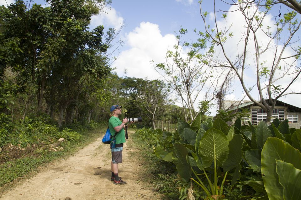 Sabana De La Mar: Los Haitises Park Bird-Watching Tour - Booking Information