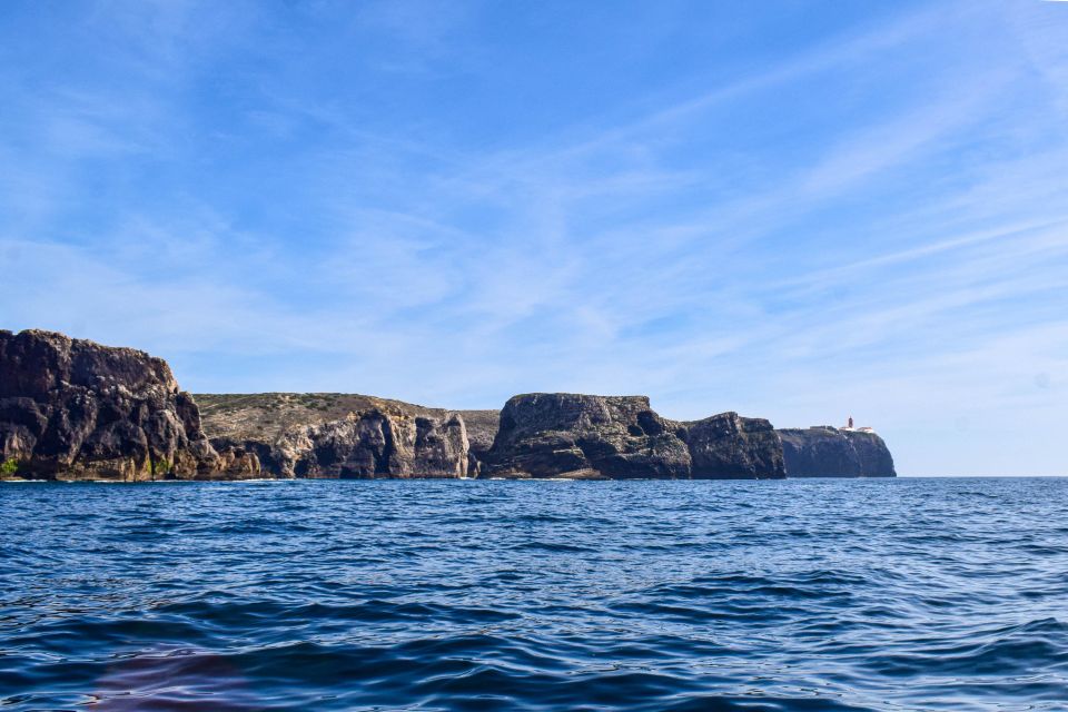 Sagres: Wildlife Tour Dolphins and Caves - Experience Highlights