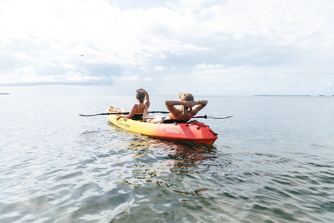 Sail, Snorkel, Kayak, Dolphins, and Lunch With Honest Eco - Eco-Friendly Adventure
