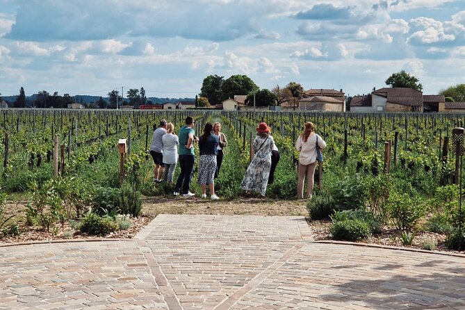 Saint Emilion Afternoon Wine Tour With Winery Visits & Tastings From Bordeaux - Winery Visits