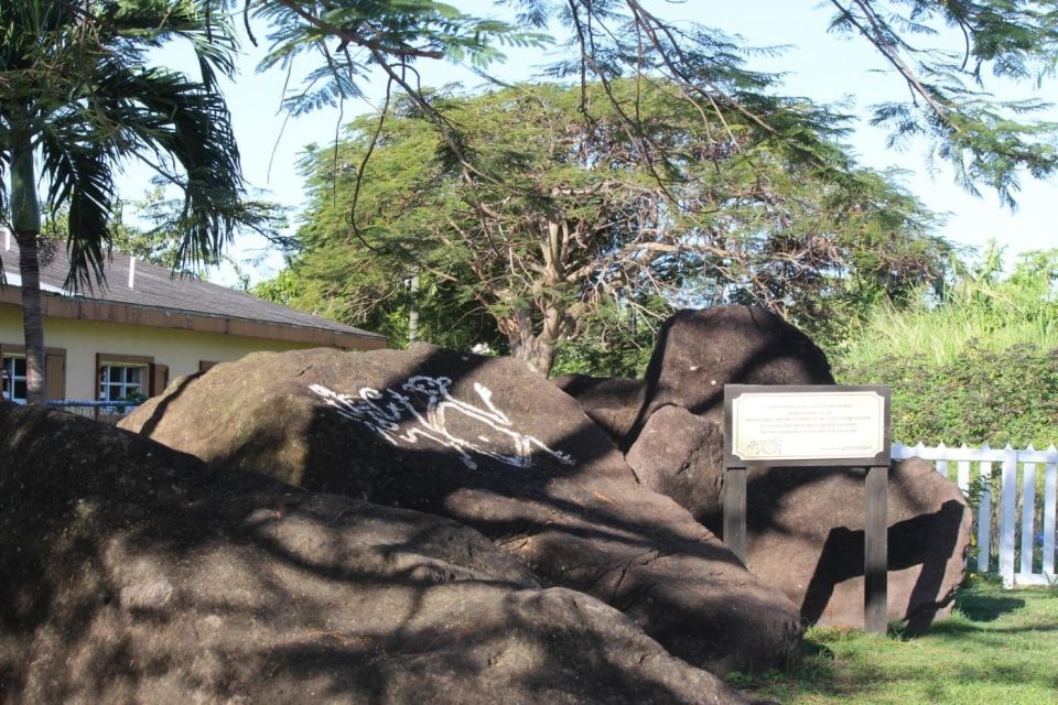 Saint Kitts and Nevis: Scenic Gardens Tour - Experience the Gardens