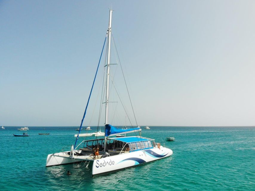 Sal Island Catamaran Cruise With All-Indrinks and Snacks - Experience Highlights
