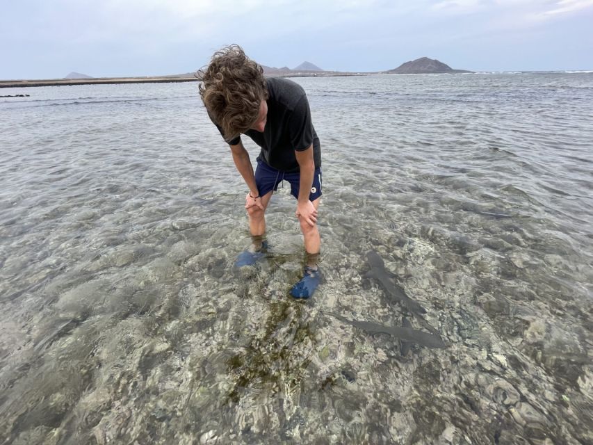 Sal: Lemon Shark Bay and Pedra De Lume Salt Lakes Tour - Tour Experience