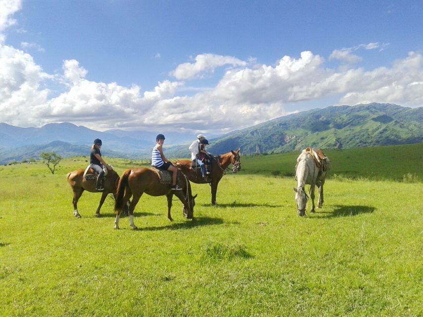 Salta: Horseback Riding in the Mountains - Experience Highlights