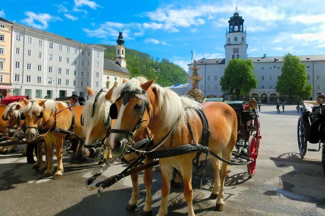 Salzburg Small-Group Day Trip From Vienna - Traveler Experience