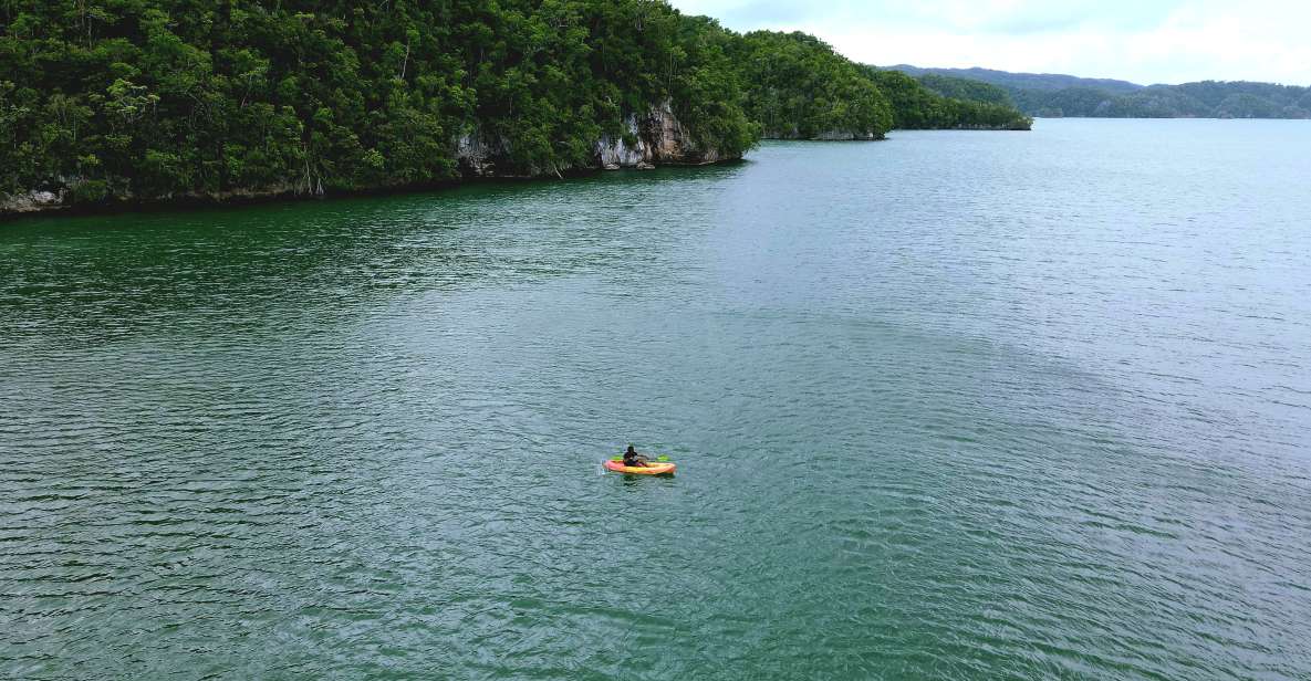 Samana: Private Los Haitises Expedition Caves & Mangroves - Experience Highlights