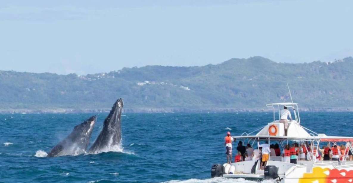 Samana: Whale Watching Cayo Levantado Los Haitises - Inclusions