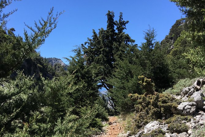 Samaria Fygou and Agia Irini Gorge Loop Day Hiking Tour - What to Expect