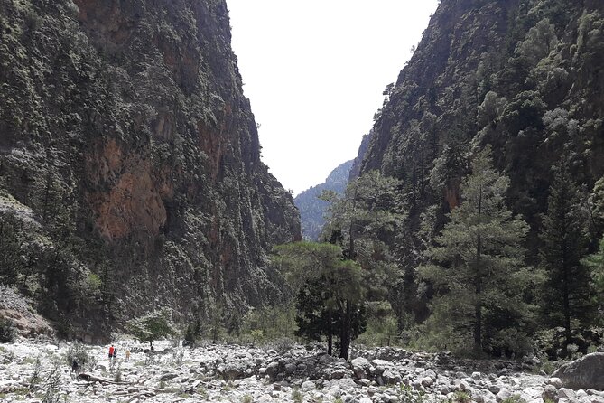 Samaria Gorge Transfer From Chania (Price per Group of 6) - Meeting and Pickup