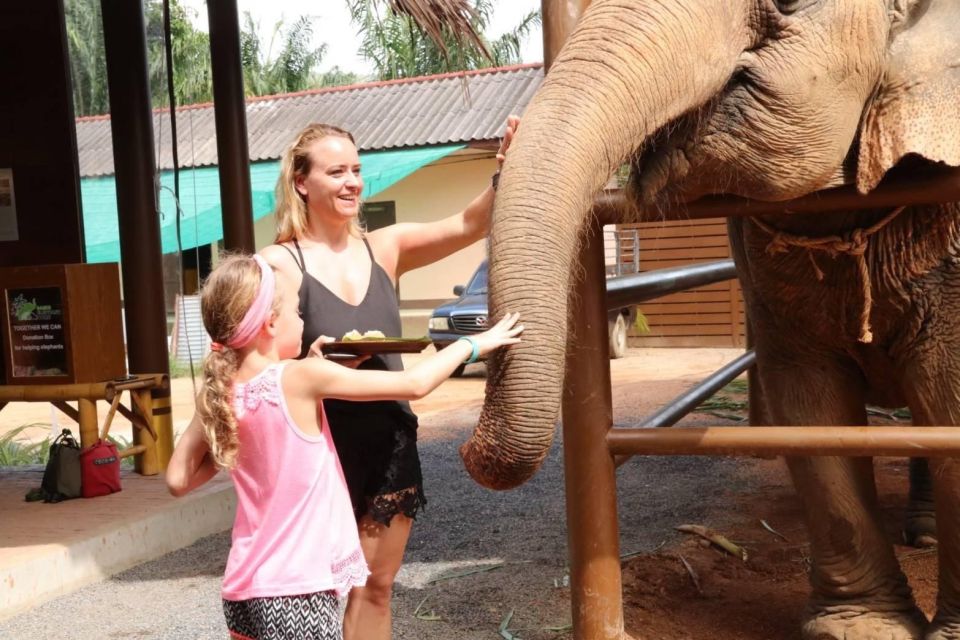 Samui: Feeding Program at the Elephant Home Nursery - Experience Highlights