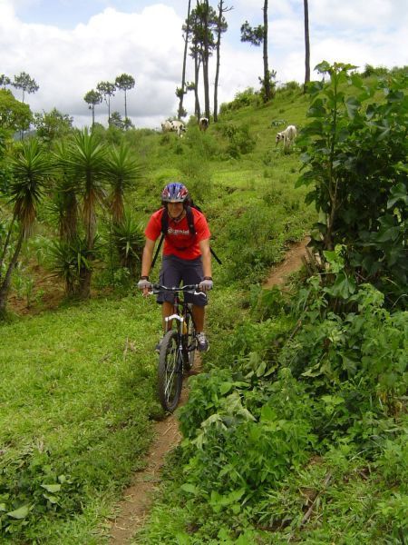 San Andrés Itzapa Half-Day Mountain Bike Tour - Experience Highlights
