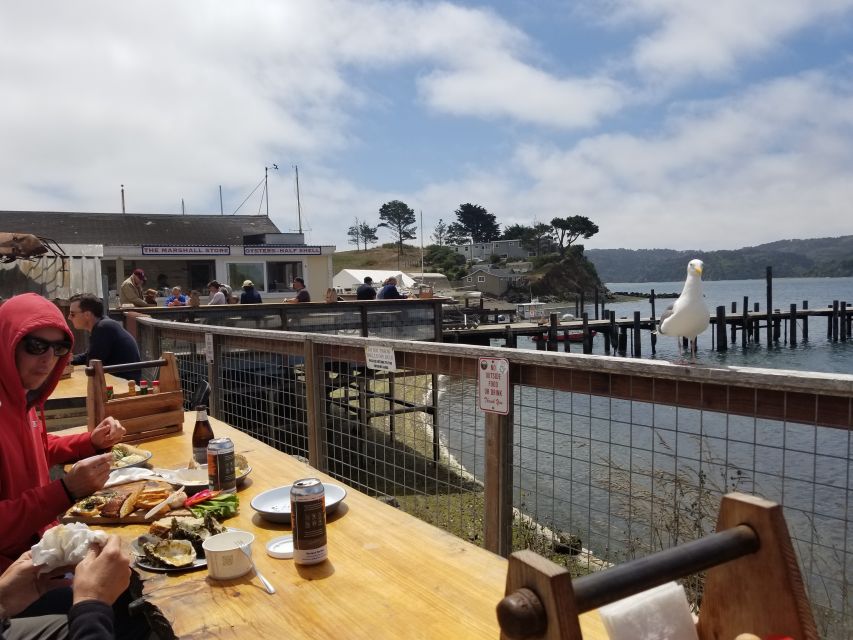 San Francisco: Cheese, Honey, Oysters & Wine Tour of Sonoma - Experience Highlights
