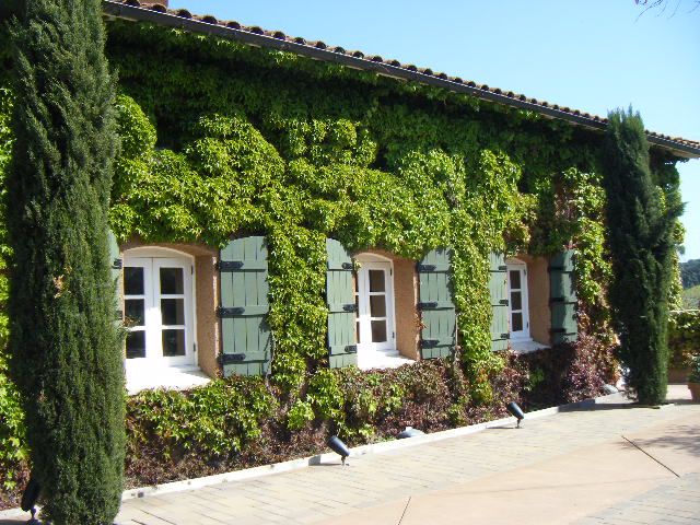 San Francisco: Half-Day Wine Country Tour With Wine Tastings - Experience Highlights