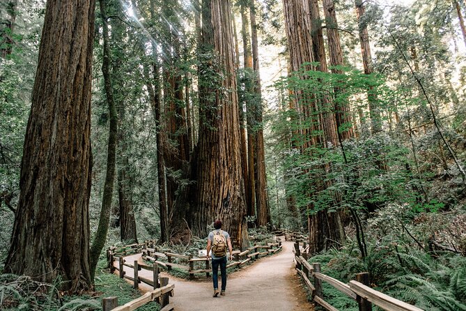 San Francisco, Sausalito, Muir Woods Bay Area Small-Group Tour - Tour Guides