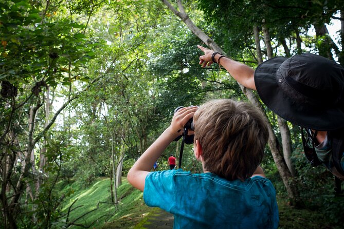 San Jose Walking Nature Tour: Sloths, Birds and Trees - Wildlife Encounters