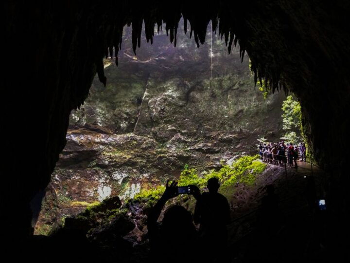 San Juan: Camuy Caves Experience Tour With Pickup & Drop-Off - Tour Highlights