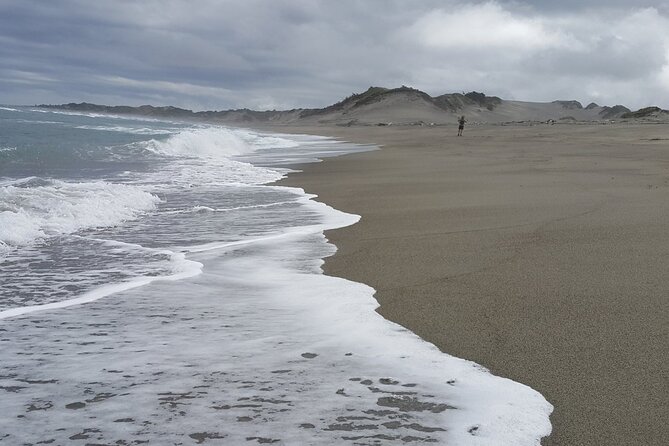 Sand Dunes National Heritage Park& Natadola Beach Half Day Tour - Traveler Experiences