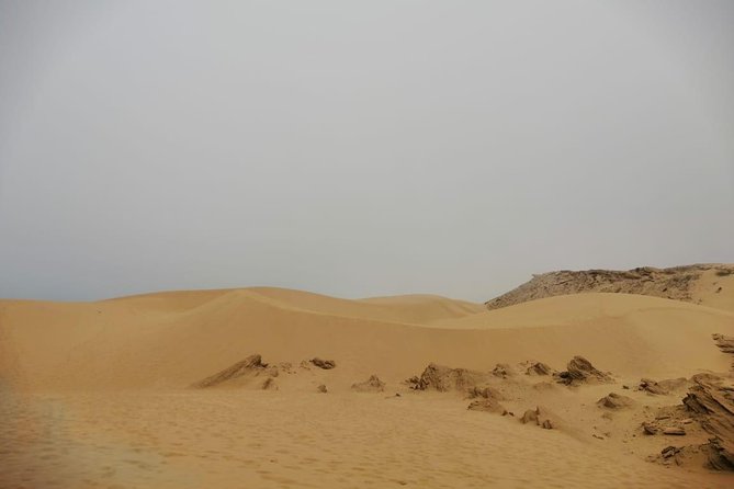 Sandboarding Guided Experience From Agadir - Traveler Feedback