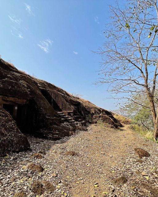 Sanjay Gandhi National Park Kenheri Caves Lion Safari - Kenheri Caves Exploration Details