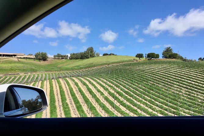 Santa Barbara Small-Group Wine Tour to Private Estates & Wineries - Logistics and Requirements