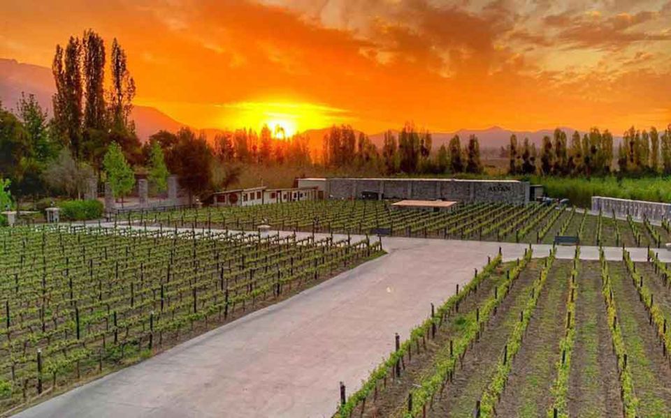 Santiago: Sunset Winery Tour With Wine Tastings and Dinner - Booking Details
