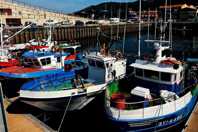 Santoña: Anchovy Factory & Boat Trip - Reviews