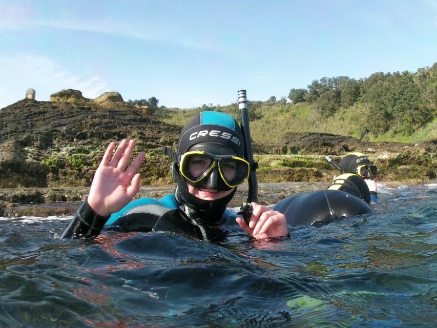 Sao Miguel: Snorkeling Around Vila Franca Do Campo - Marine Life Exploration