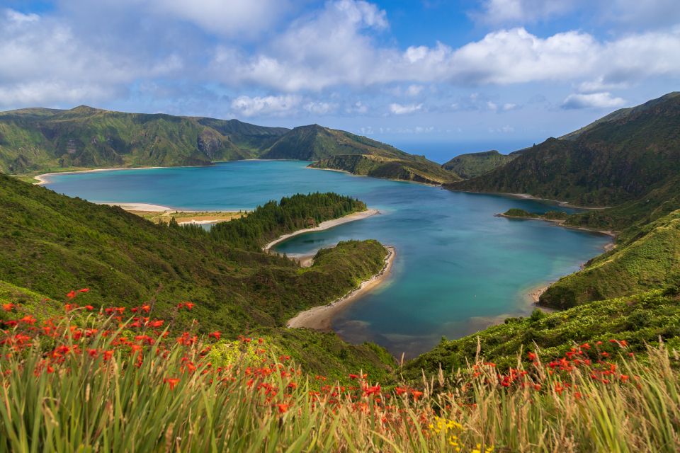 São Miguel: Whales & Volcano Full-Day Tour With Lunch - Booking Information