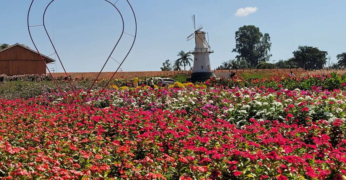 São Paulo: Holambra Colorful Flower Farm Guided Day Trip - Location Information