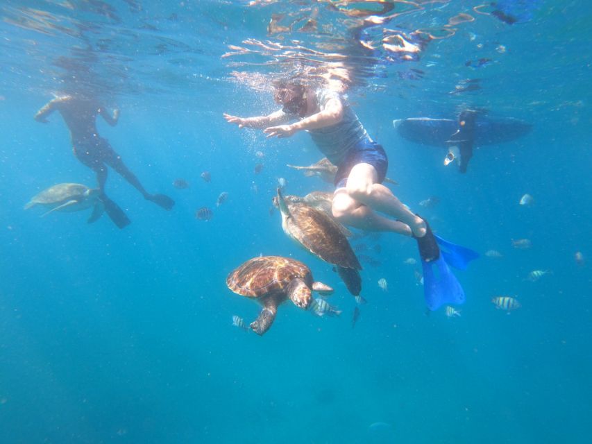 São Vicente: Snorkeling With Turtles Breathtaking Experience - Experience Highlights