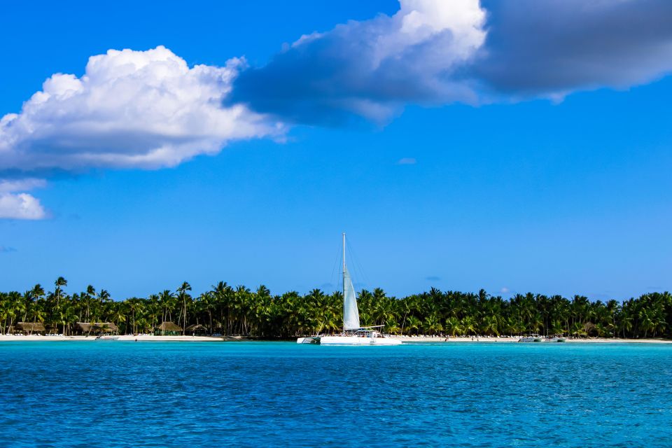 Saona Island Day Trip Lunch Open Bar From Punta Cana - Inclusions and Highlights