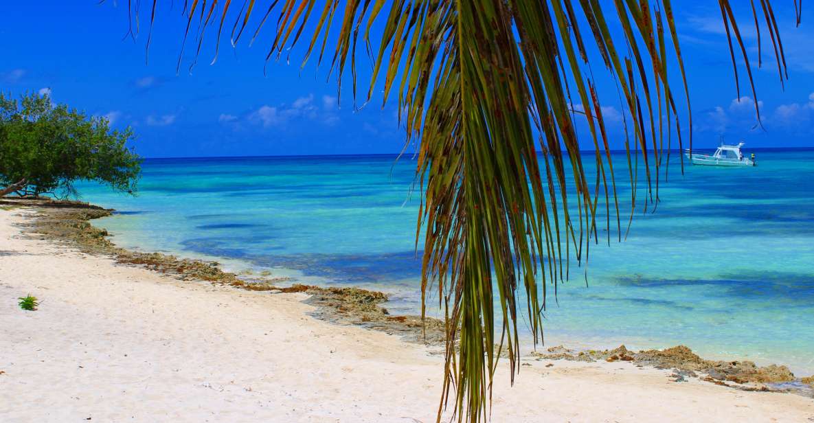 Saona Island: Full-Day All-Inclusive Tour - Varied Itineraries and Food Options