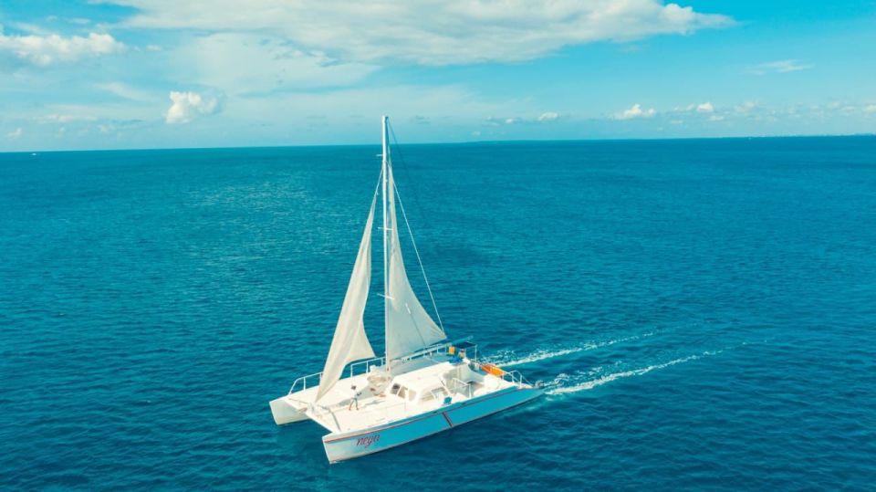 Saona Island Tour: Catamaran & Speedboat - All Inclusive - Experience Highlights