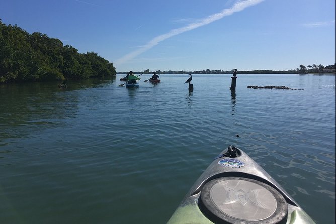 Sarasota Guided Mangrove Tunnel Kayak Tour - Meeting and Pickup
