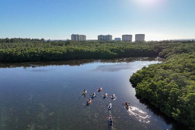 Sarasota Mangroves Kayaking Small-Group Tour (Mar ) - Booking Details