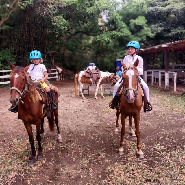 Scenic Horseback Trail - Activity Description