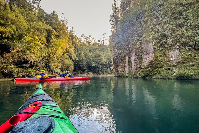 Scenic Lake McLaren Kayak Tour - Experience Highlights