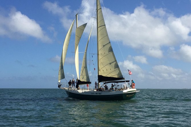 Schooner Clearwater- Afternoon Sailing Cruise-Clearwater Beach - Experience Overview