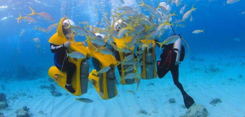 Scoba Doo Discover the Underwater Wonders of Punta Cana - Experience Highlights