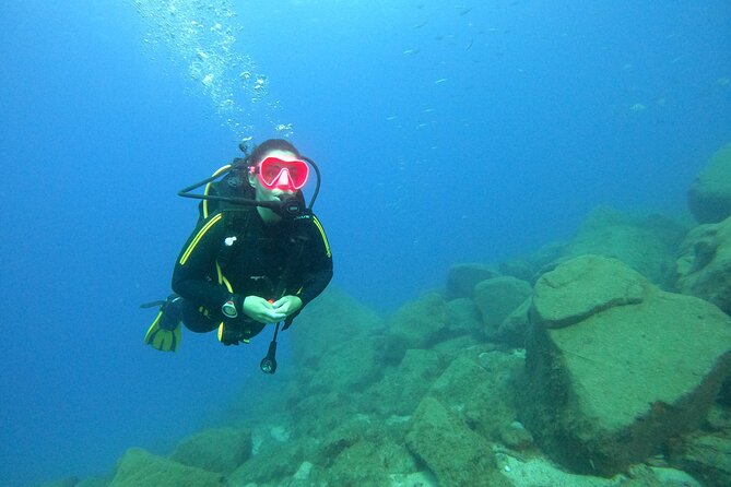 Scuba Dive for Beginners in a Turtle Area in Costa Adeje - Experience Overview