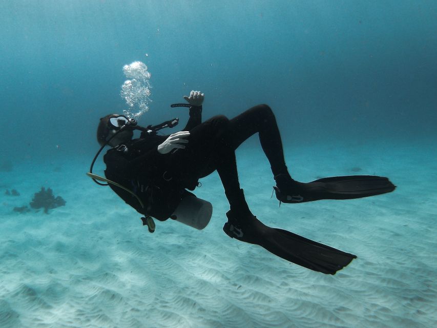 Scuba Diving at Dusk in Mirissa - Booking and Cancellation Policy