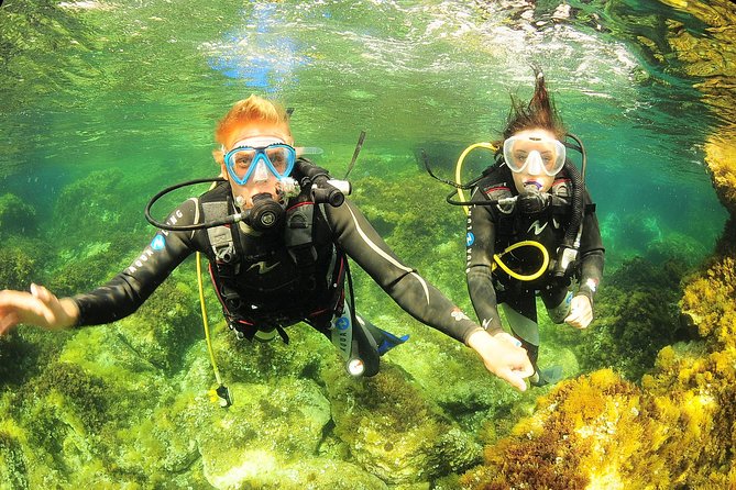 Scuba Diving Baptism and Snorkeling in Ibiza - Scuba Diving Baptism Details