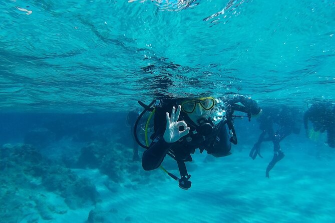 Scuba Diving for Beginners in Chania - Logistics for Scuba Diving Sessions